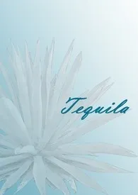 当年.年二爷著作《Tequila》小说全文阅读