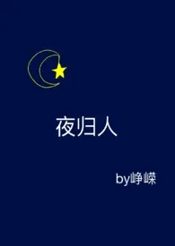 《夜归人》小说大结局 峥嵘最新力作