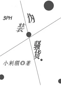 伪装骚货（3PH）作者：媮生 全本免费阅读