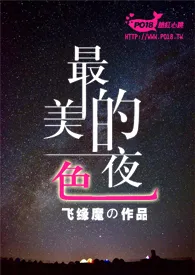 最美的夜色小说完结版免费阅读（作者：飞缘魔）