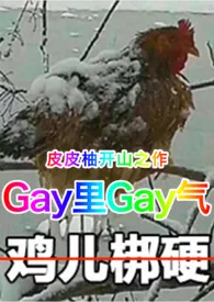 gay里gay气小说完结版免费阅读（作者：皮皮柚）