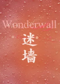 迷墙Wonderwall作者：鱼眼 全本免费阅读