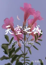 《天空之城｜Sky Castle （*N）》2024版小说全集 年糕巨巨完本作品