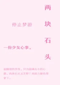 《两块石头》小说大结局 停止梦游最新力作