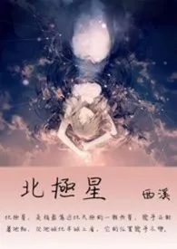 C西溪C著作《北极星》小说全文阅读