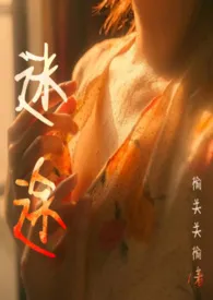 《迷途(重生校园h)》小说大结局 榆关关榆最新力作