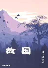 故国小说完结版免费阅读（作者：孟沉灯）