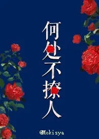 《何处不撩人》2024版小说全集 Mokisya完本作品