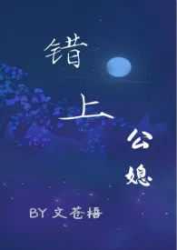 《错上（公媳 古言）》小说在线阅读 文苍梧作品