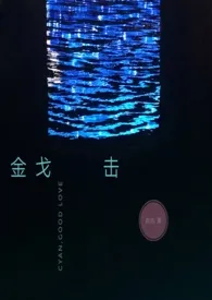 西古著作《金戈击【H】》小说全文阅读