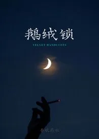 鹅绒锁小说完结版免费阅读（作者：春眠药水）