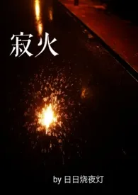 日日烧夜灯著作《寂火》小说全文阅读