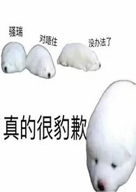 雪山abo作者：pCre 全本免费阅读