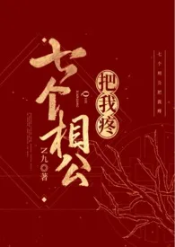 N九著作《七个相公（女尊 NP）》小说全文阅读