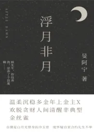 《浮月非月》小说在线阅读 旻阿宁作品