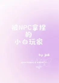 被NPC拿捏的小白玩家（NPH）作者：joli 全本免费阅读