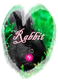 面具著作《Rabbit》小说全文阅读