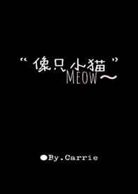 “像只小猫”小说完结版免费阅读（作者：Carrie）