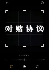 《对赌协议（NP）》2024版小说全集 Richeese完本作品