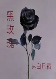 《黑玫瑰》小说大结局 白月霜最新力作