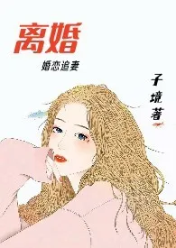 离婚（H）作者：子境 全本免费阅读