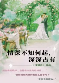 情深不知何起，深深占有作者：蜜糖红 全本免费阅读