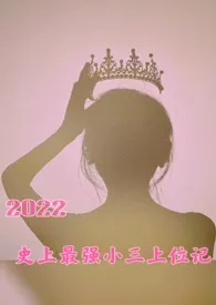 小写-时情著作《2022，史上最强小三上位记》小说全文阅读