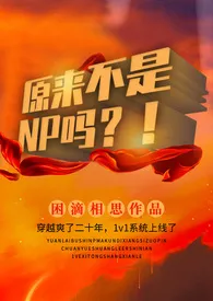 《原来不是np吗？！（穿越nph）》2024版小说全集 困滴相思完本作品