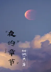 夜的章节（双师生，兄妹，高H）2024全章节阅读 夜的章节（双师生，兄妹，高H）小说免费阅读