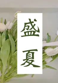 盛夏小说完结版免费阅读（作者：醉灯）