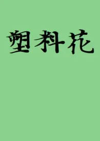 塑料花最新章节目录 塑料花全本在线阅读