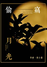 《偷窃月光（百合ABO）》小说在线阅读 茶小喜作品