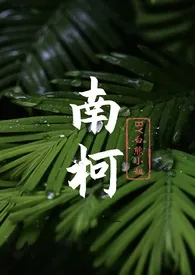 南柯（现言，年上，1V1）小说完结版免费阅读（作者：白熊小姐）