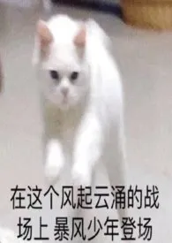 C位小说完结版免费阅读（作者：周六不更）