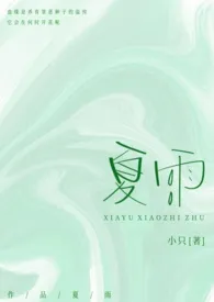 夏雨（骨科/兄妹）2024全章节阅读 夏雨（骨科/兄妹）小说免费阅读