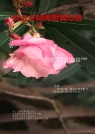 炳明著作《长公主班师回朝以后（女宠男）》小说全文阅读