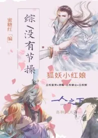 【综同人】没有节操作者：蜜糖红 全本免费阅读