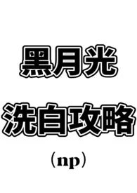 《黑月光洗白攻略（np）》2024版小说全集 水外轻阴完本作品