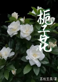 荔枝豆腐心著作《栀子花 (父女1v1）》小说全文阅读