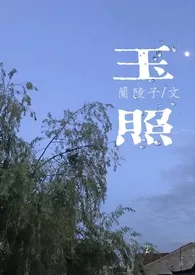 玉照小说完结版免费阅读（作者：兰陵子）