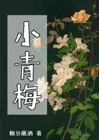 小青梅（np）小说完结版免费阅读（作者：糖豆蘸酒）