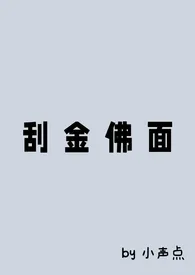 《刮金佛面》2024版小说全集 小声点完本作品