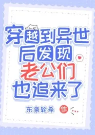 东条轮希著作《穿越到异世后发现老公们也追来了（nph）》小说全文阅读