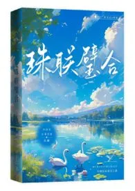 《珠联璧合》小说大结局 不码代码码字最新力作