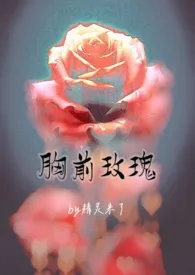 《胸前玫瑰（老文纯百合gl）》2024版小说全集 精灵来了完本作品