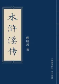 顾晓漫著作《水浒淫传》小说全文阅读