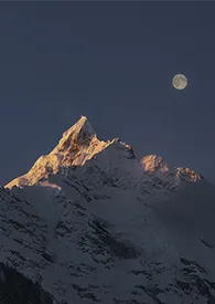 这里的雪山静悄悄作者：人间何处不地狱 全本免费阅读