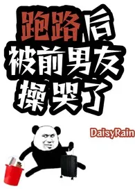 《跑路后被前男友操哭了（1V1 SC）》小说在线阅读 DaisyRain作品